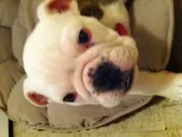 Macy3.webp