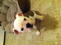 Macy4.webp