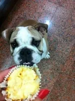 ImageUploadedByTapatalk1328594963.456215.webp