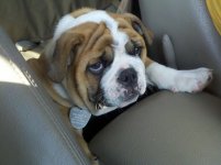 2011-07-16_16-13-31_643.jpg 2011-07-16_16-13-31_643.jpg