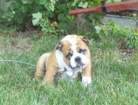 2011-07-26_09-15-02_444.jpg 2011-07-26_09-15-02_444.jpg