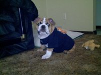 2011-08-06_19-13-22_640.jpg 2011-08-06_19-13-22_640.jpg