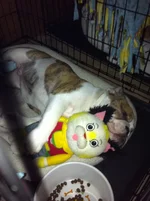 Nigel sleeps with baby.webp