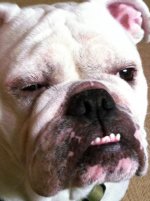 Gio face.jpg Gio face.jpg