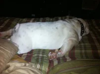 ImageUploadedByTapatalk1313977039.608396.webp