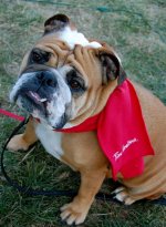 DSC_7179.jpg DSC_7179.jpg