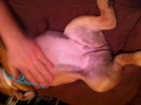 photo(2).jpg photo(2).jpg