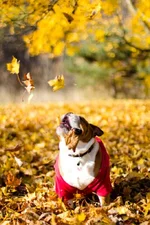 IMG_2913.webp