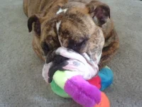 Sleepy.webp