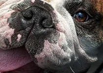 closeup.webp closeup.webp