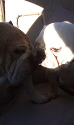 IMAG0553.jpg