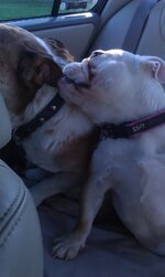 IMAG0555.jpg
