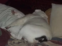 100_0675.webp