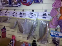 antler.webp