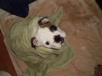 Bo's First Tub Time - 3-7-11.jpg