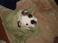 Bo's First Tub Time - 3-7-11.webp