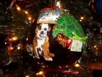 100_1025.webp