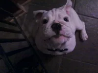 120511160513.webp
