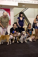 IMG_0047.webp IMG_0047.webp