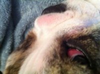 eye2.jpg eye2.jpg