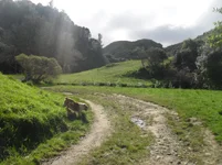 SDC11806.webp