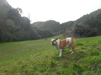 SDC11786.webp