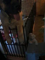 112011153612.webp 112011153612.webp