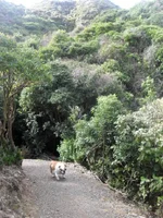 SDC11800.webp
