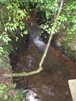 SDC11802.webp