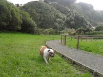 SDC11815.webp