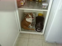 20140602_112707.webp