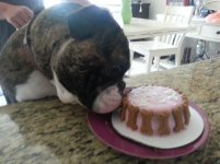 OMalley 1st bday.jpg