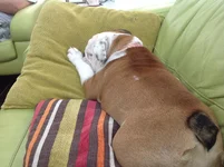 image.webp