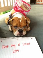 Eddie's First Dayof School.JPG
