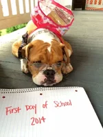 Eddie's First Dayof School.webp