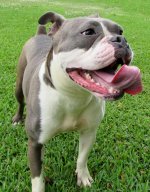 Ivanna - New Orleans.jpg Ivanna - New Orleans.jpg