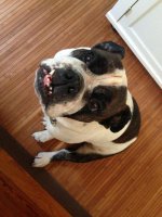 Mabel - St. Louis.jpg Mabel - St. Louis.jpg