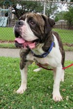 Rupert - New Orleans.jpg Rupert - New Orleans.jpg