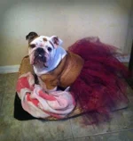 sammi girl.webp