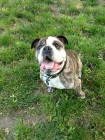 Baxter - Long Island.jpg Baxter - Long Island.jpg