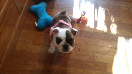 uploadfromtaptalk1408670274867.webp