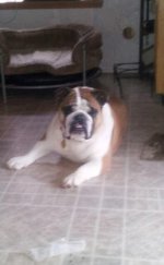 Winston - Long Island.jpg Winston - Long Island.jpg