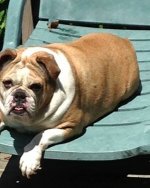Tilly - Long Island.jpg Tilly - Long Island.jpg