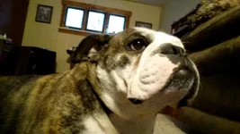 20140822_070054.webp