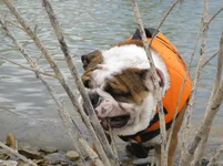 8-21-11 (15).webp