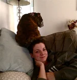 Ellie_SittingonHead.webp