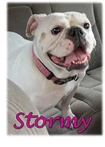 Stormy1.webp