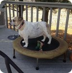 Mugsy.jpg Mugsy.jpg