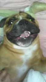IMAG1707.webp
