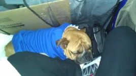 IMAG1535.webp